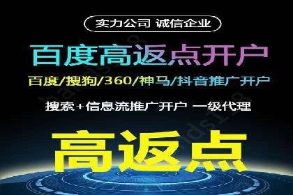 百度竞价推广实战：案例分析与优化策略